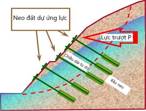 Ổn định độ dốc cắt